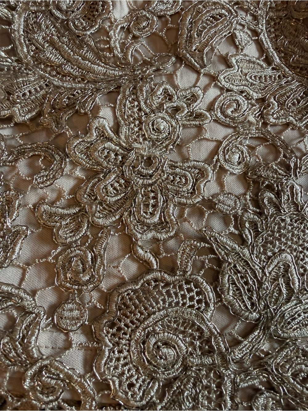 Windsor Beige Lace Overlay Mini Skirt - Picture 2 of 5